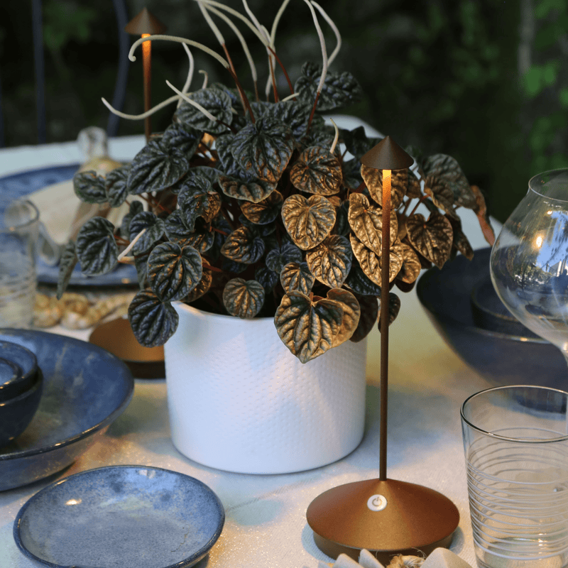 Zafferano - Pina - Tischlampe